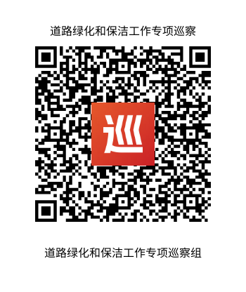 专项巡察公告