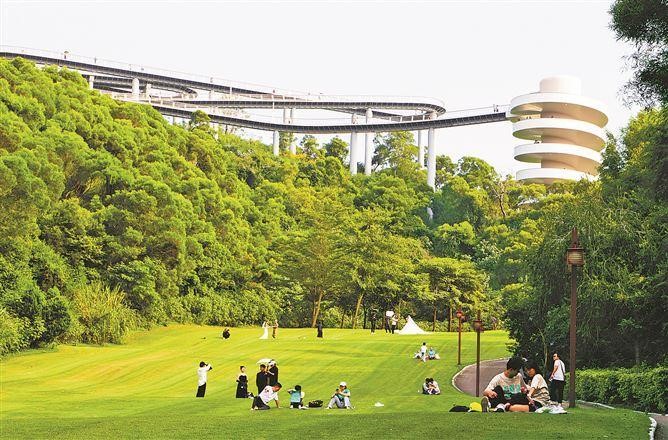 趣打卡！且以青春赴山海 悦山悦水悦厦门9.jpg