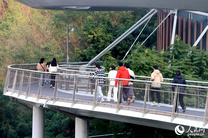 1768186494633.png 厦门:串起山海湖岛溪 市政匠心绘就春日画廊7.png